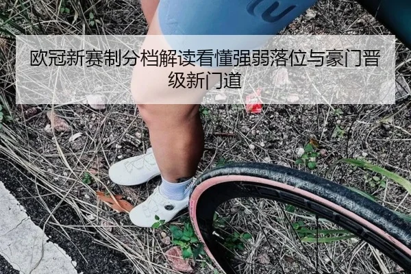 欧冠新赛制分档解读看懂强弱落位与豪门晋级新门道